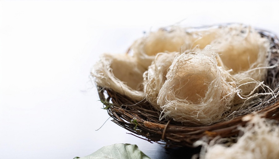 Should You Eat or Drink Bird's Nest